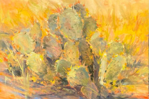 Sunrise Cactus  Hubler